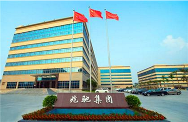 �����׳۹ɷ����޹�˾��Ŀ